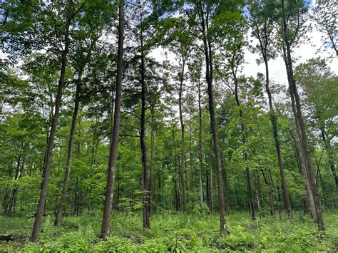 Kellar on Dr Lot 6, Merrill, WI 54452 [Updated 10/29]