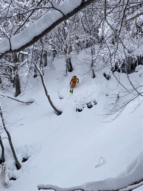 Snow report Limone Piemonte, 1/20/2026
