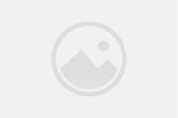 Zyagen Labs DOG BRAIN CERE CORT PARA SEC, Quantity: Each of 1 | Fisher ...