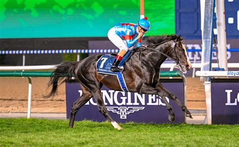 Equinox’s World Record – And The Search For Greatness | Sporting Post