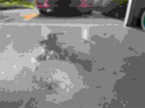 Leaking Transmission Fluid - Page 3 - CorvetteForum - Chevrolet Corvette Forum Discussion