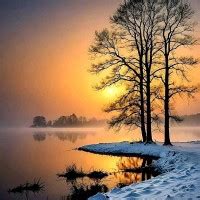 Adil Baloch - Punjab, Pakistan | Professional Profile | LinkedIn