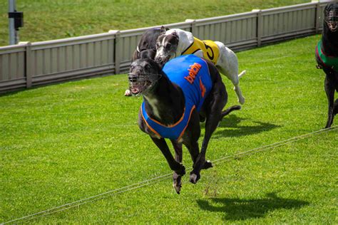 Is Horizontal Up And Down