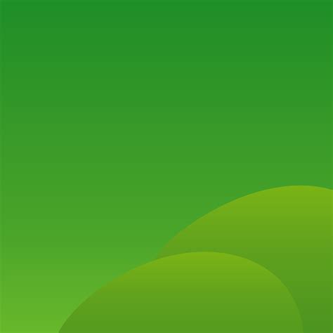 The limbus spiralis and its relationship to the developing tectorial ...