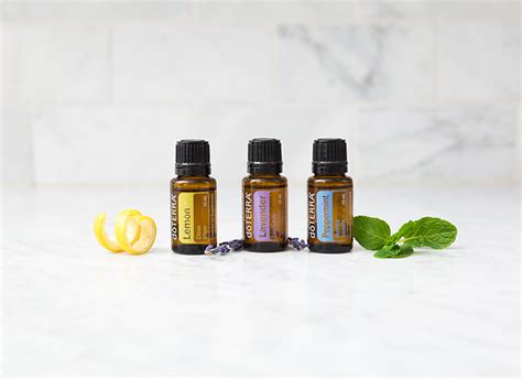 The Science Behind Fragrance Oils and Essential Oils: A Comprehensive ...