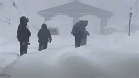 Massive snowfall brings Himachal Pradesh to halt, adverse weather slows ...