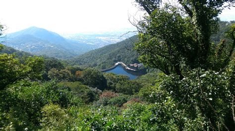 XINYU HOMESTAY (Quanzhou) - Specialty B&B Reviews & Photos - Tripadvisor