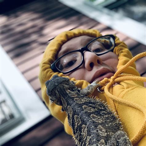 German Shepherds Watch Happy Baby Splash With Pure Joy - Parade Pets