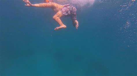 Swimming with a whale shark