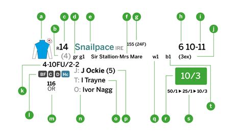 How to read a racecard so you can back the best horse