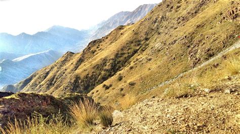 GOLDEN NEW AL-ADL (Abha) - Hotel Reviews, Photos, Rate Comparison ...