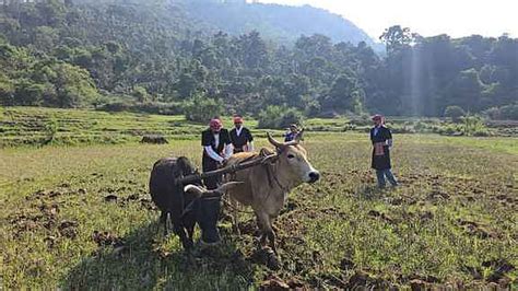 Acquisition of land: Farmers to get four times the market rate as ...