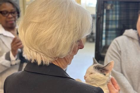 Baltimore County waives pet adoption fees amid capacity issues
