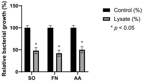 The Role of Bacterial Lysates in Tissue Regeneration and Modulation of ...