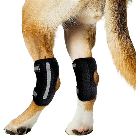 Canine Knee Brace For Torn Acl Canine Brace For Torn Acl Canine Brace ...