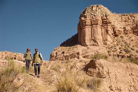 Here's What Team STELLAR Is Loving This Week | Stellar