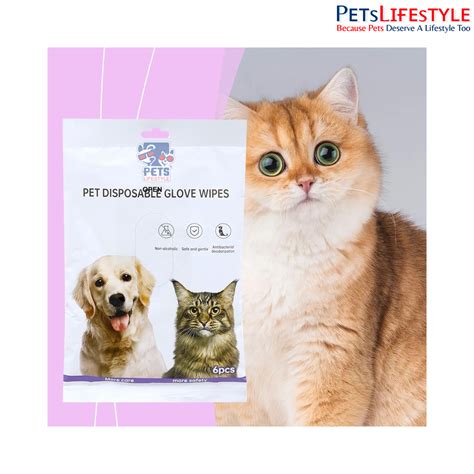 Buy Hanrou Pet Disposable Glove Wipes Non-Alcoholic Antibacterial ...