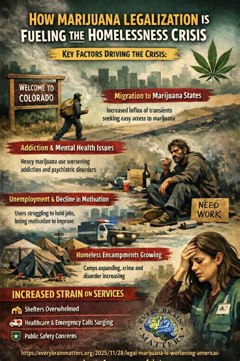 marijuana legaliziotn is fueling the homelessness crisis - Every Brain ...