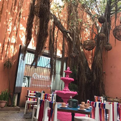 THE 10 BEST Restaurants Near Alma Calma, Merida