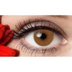 Hydro Honey Bee Color Contact Lenses Price in Pakistan | Contactlens.pk