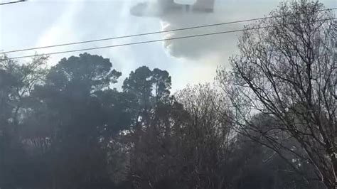 Smith County commissioners OK initial plans for animal shelter improvements