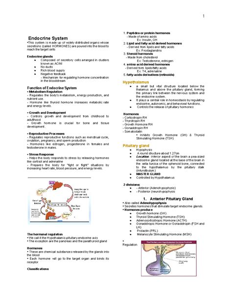 MS 2 Prelim: Comprehensive Overview of the Endocrine System - Studocu