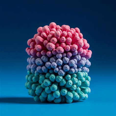 Visual Experience Anchor · Theme