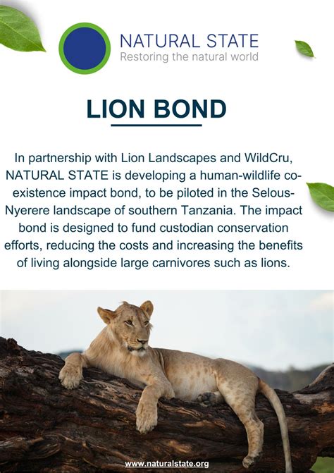 #cfaincubator #lionbond #cfaincubator2026 #naturalstate #naturebasedsolutions #innovativefinance ...
