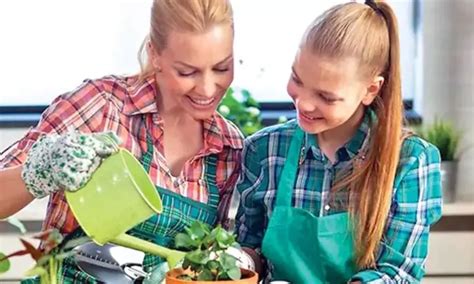 How small gardening practices can keep plants healthy | Dailyhunt