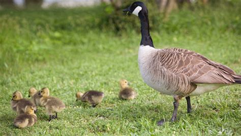 Home [demosite-ura6slcs.cluster2.hostgator.co.in]