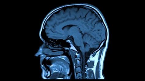 รูป 4K Stock Videos – Royalty-Free HD & 4K Videos