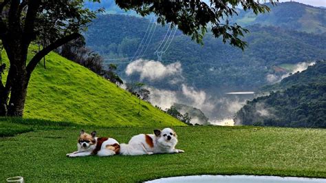 Lake A Lua Chalet - Houses for Rent in Delfim Moreira, State of Minas ...