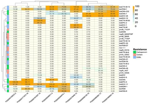 Genomic Epidemiology of Clinical Klebsiella pneumoniae in the Middle ...