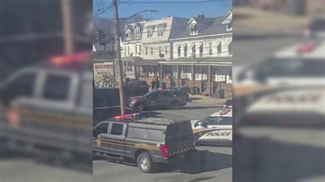 Uniting in purple and pink: City of Pottsville honors 9-year-old ...