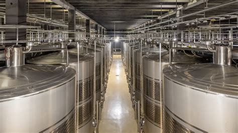 Mapping India’s smart proteins and ingredients biomanufacturing ...