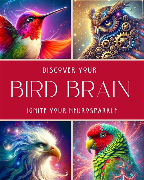 Different Types of Different