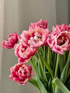 Free Printable Tulip Flower Craft Template for Kindergarten | Flower ...