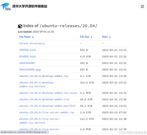 Ubuntu20.04.6镜像下载 清华大学开源软件镜像站_ubuntu-20.04.6-desktop-amd64.iso-CSDN博客