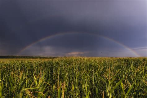 Stalled Farm Bill, Slashed Grants Undercut Farmers’ Water Protection Efforts - Circle of Blue