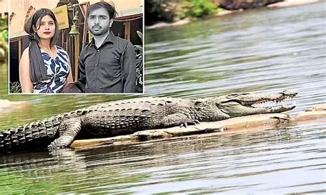 Tragedy: Crocodile drags away man who had come for mother-in-law's ...