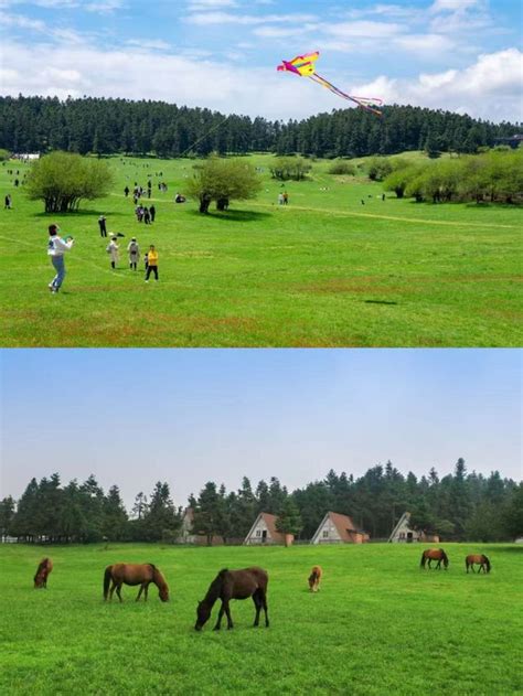 Wulong Ultimate Guide: Essential One-Day Tour Attractions ...