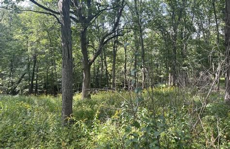 Bedste børnevenlige ruter i Maxwell | AllTrails