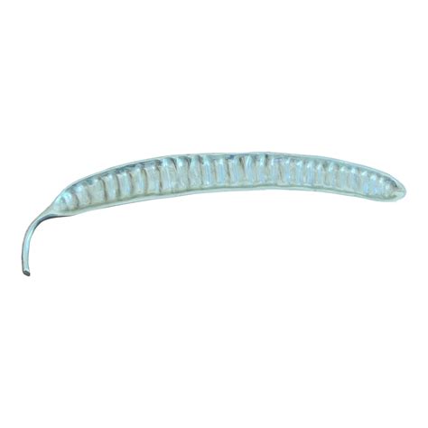 Beatriz Ball 20” Sculptural Bean Pod Serving Tray - Great for Bite Size Food Like Sushi, Canapés ...