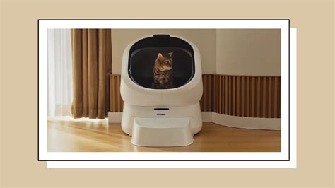 Petlibro Smart Litter Box Makes Cleanup Effortless