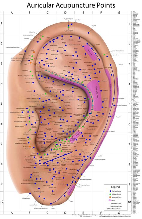 Acupuncture Points Chart Full Body – ITULM