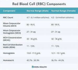How to Interpret CBC Results: A Comprehensive Guide - Face Surgery