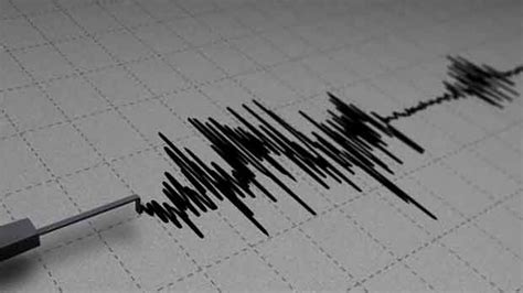 4.1 magnitude quake hits Gujarat’s Kutch district; no casualties