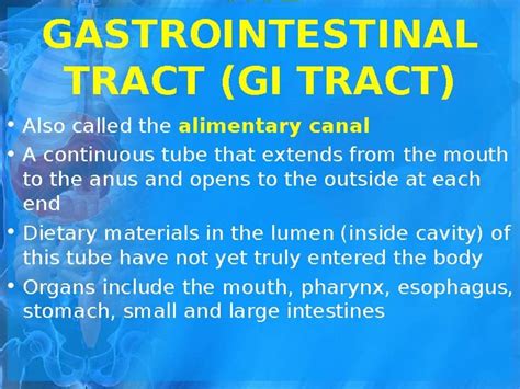 Digestive System by Carla D'Elia | TPT