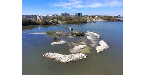 BlueTerra Completes Restoration of Bird Island for FWC, Strengthening ...
