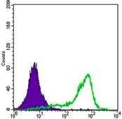 Ipoa | Sigma-Aldrich